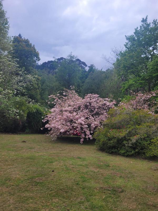 3 Bedroom Property for Sale in Hogsback Eastern Cape